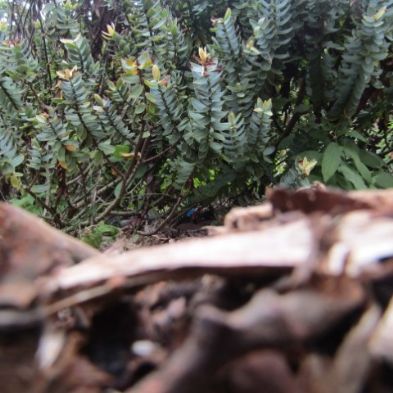 tsaPhotoClubwk7 (25)